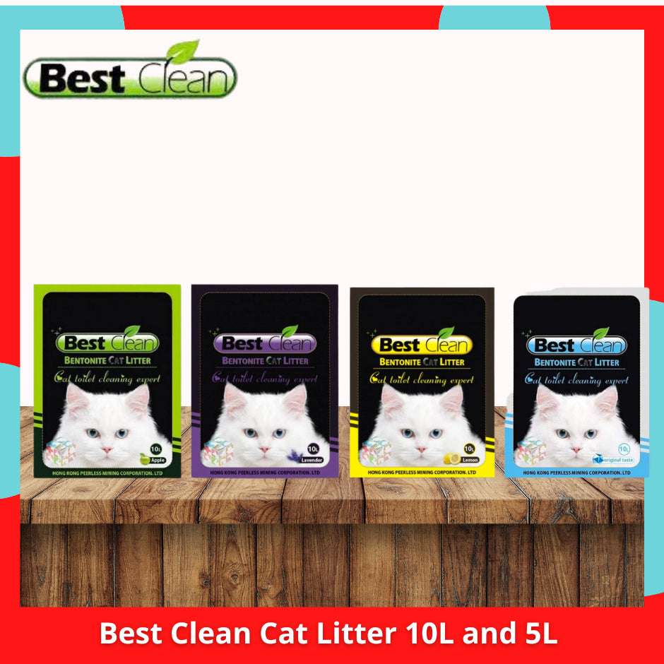Best Clean Bentonite Cat Litter 10L l 5L