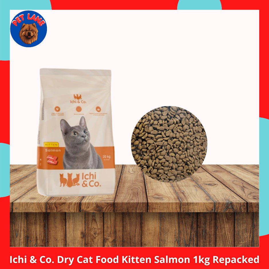 Ichi &amp; Co Cat Dry Food Adult &amp; Kitten Salmon 1kg Repacked