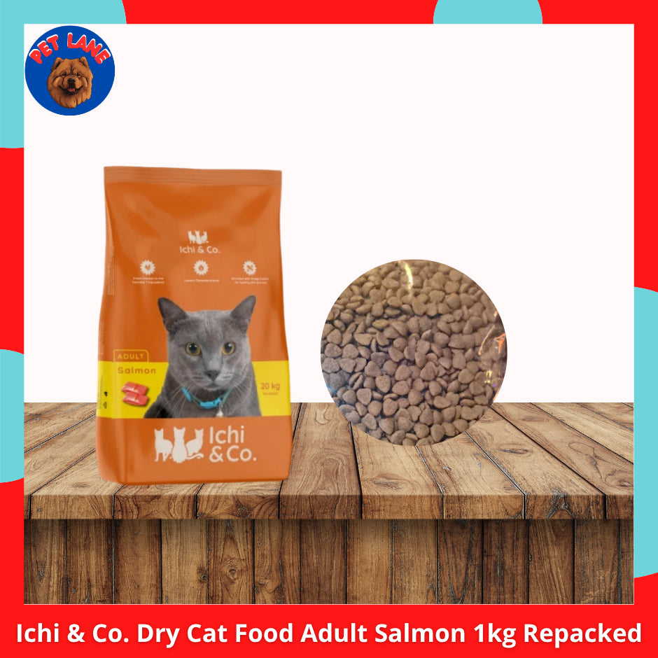 Ichi &amp; Co Cat Dry Food Adult &amp; Kitten Salmon 1kg Repacked