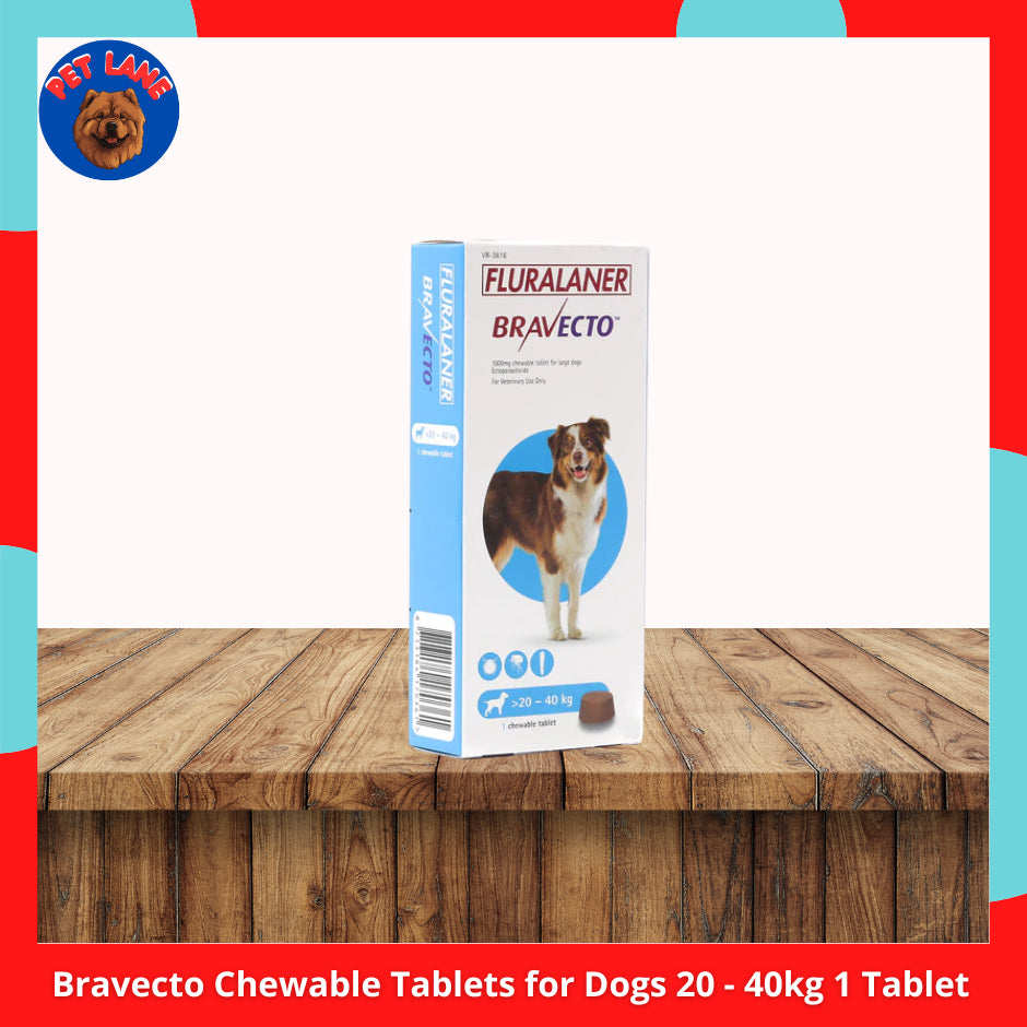 Bravecto Chewable Tablets for Dogs Anti-Tick Flea 1 Tablet