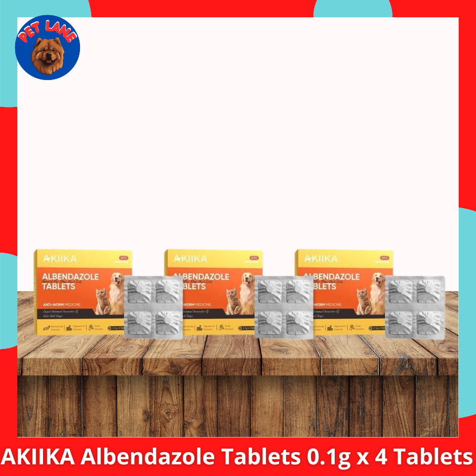 AKIIKA Albendazole Anti-Worm Tablets 0.1g x 4 Tablets
