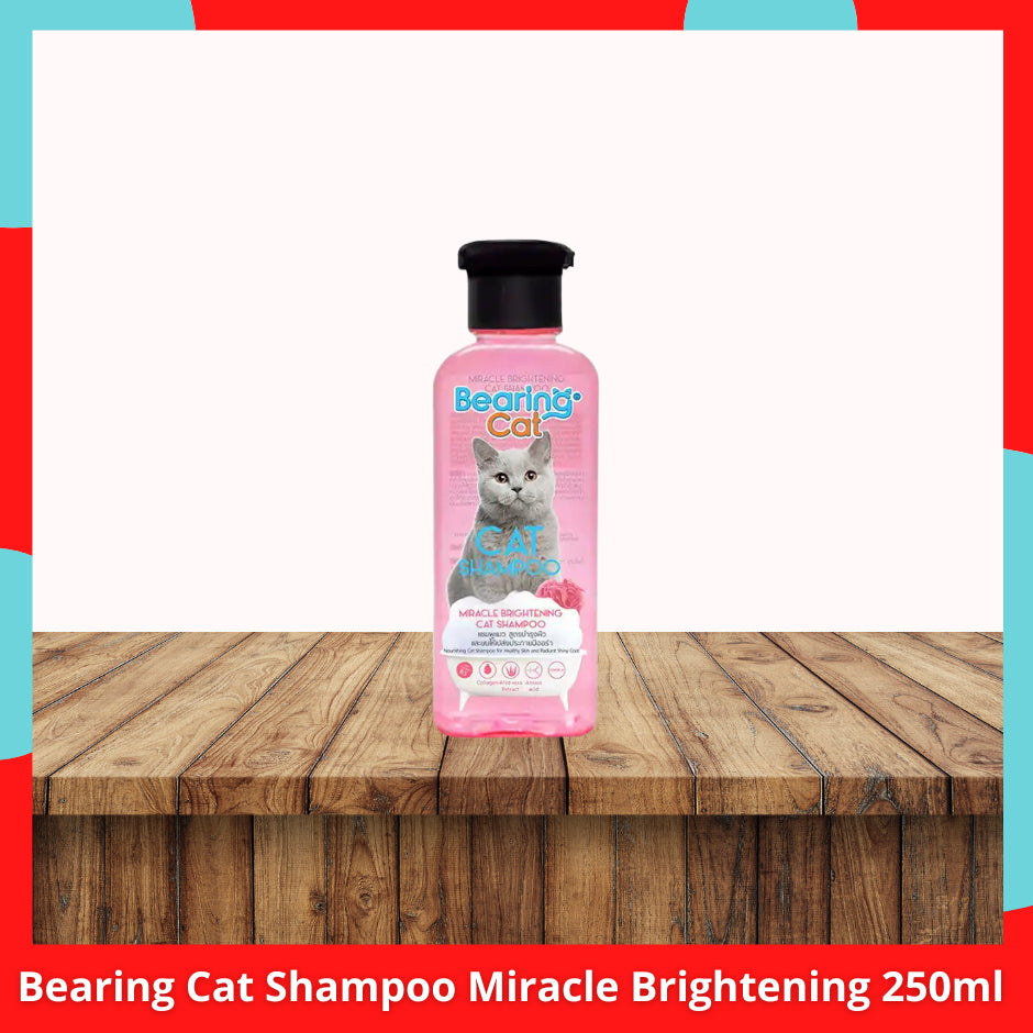 Bearing Cat Shampoo 250ml Dry &amp; Sensitive Skin l Miracle Brightening l Shed Control